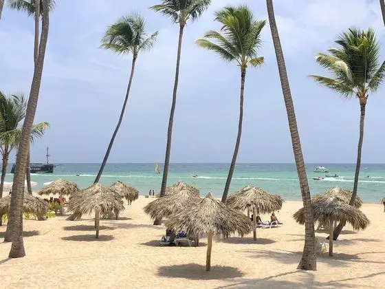 Las Terrazas VIP Pool Beach Club & Spa - Plaj