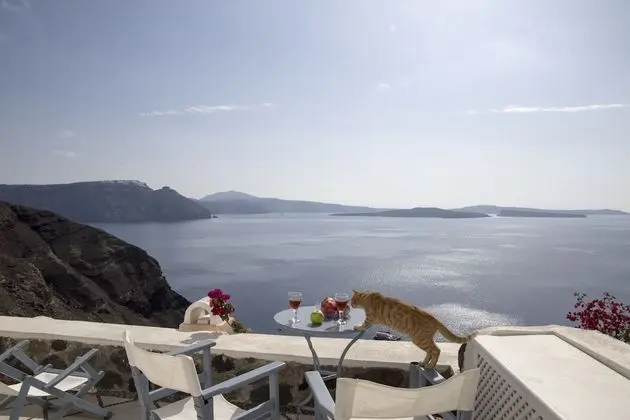 Lava Oia's