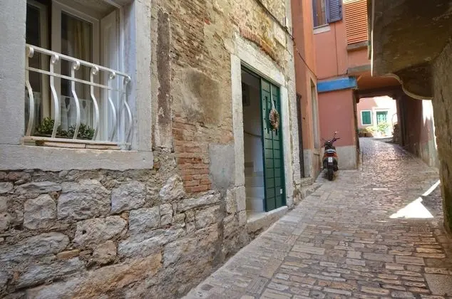 Lavanda - Casale Studios