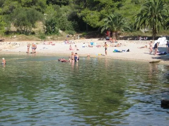 Lavanda Sunny Hotel by Valamar - Plaj