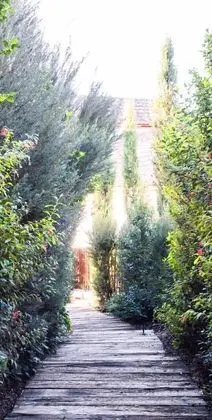 Lavandeira Douro Nature & Wellness - Lobi