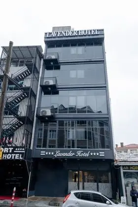 Lavender Airport Hotel - Genel