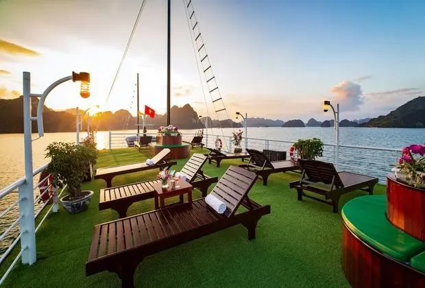 Lavender Elegance Cruise