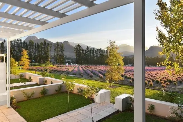 Lavender Farm Guest House - Öne Çıkan Resim