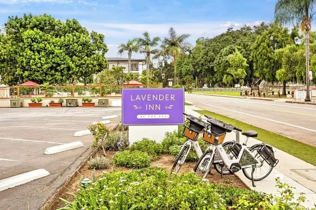 Lavender Inn by the Sea - Dış Mekan