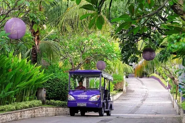 Lavender Villa and Spa