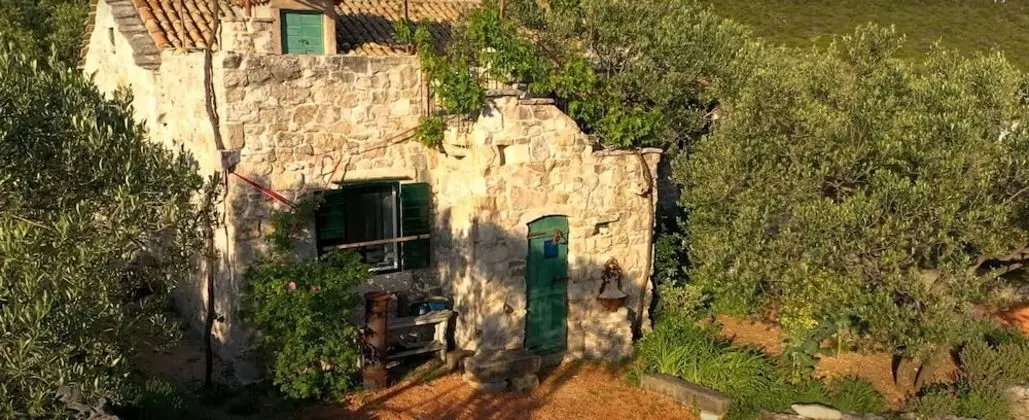 Lavender - Traditional Tranquility - H