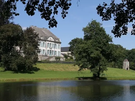 Lavish Castle With Sauna and Gym in Vyle-et-tharoul