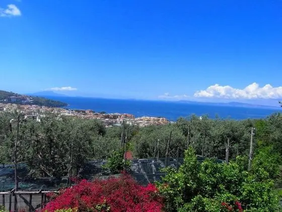 Lavish Mansion in Sorrento With Garden