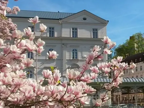 Lázeňský hotel Sadový Pramen - Dış Mekan