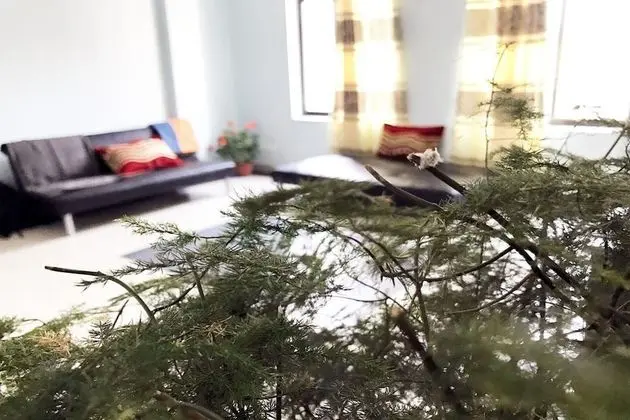Lazimpat Luxury Apartments - Lobi