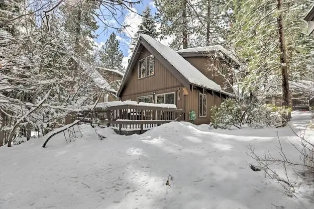 Lazy Bear Cabin - Öne Çıkan Resim