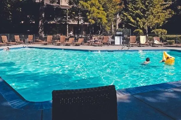 Lazy Bear Lodge - Havuz