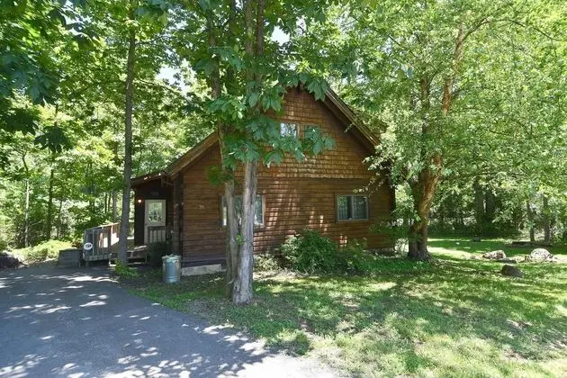 Lazy Bear Retreat - Dış Mekan