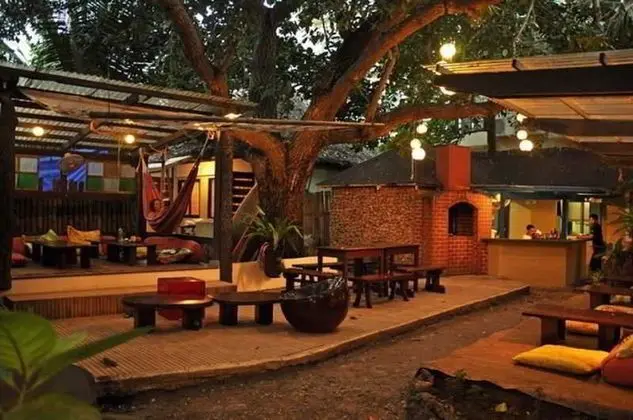 The Lazy Dog Bed and Breakfast