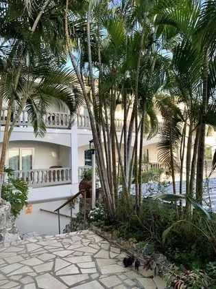 The Lazy Parrot Inn - Dış Mekan