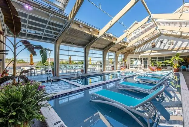 Hotel LBI - Havuz