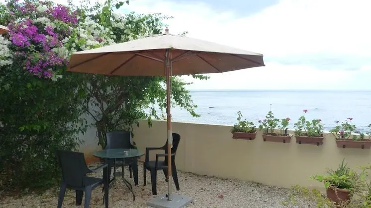 Le Cactus Guesthouse