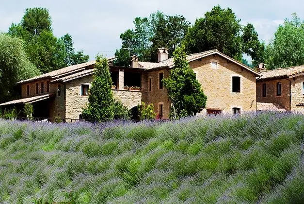 Le Case (Agriturismo)