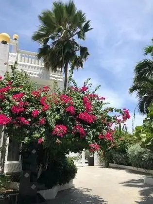 Le Castel Blanc Hotel Boutique - Dış Mekan