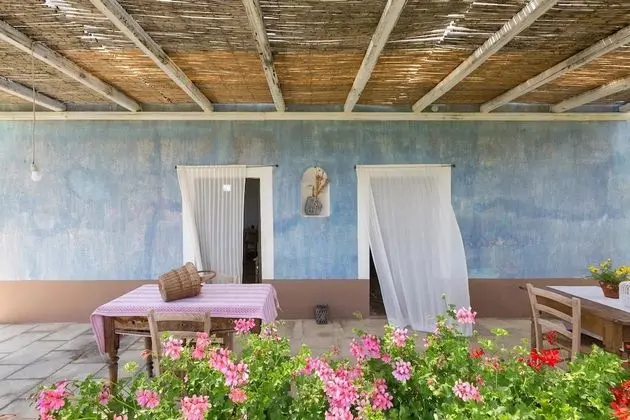 Le Cernicole - Oda Düzeni