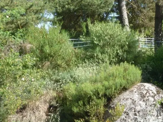 Le Chalet - Dış Mekan