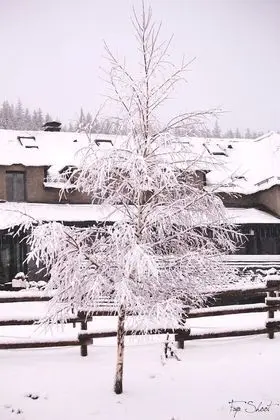 Le Chalet du Soulor - Dış Mekan