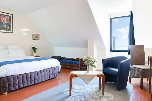 Hotel Le Chevalier Gambette - Oda