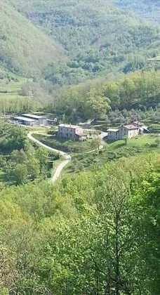 Le Chianine dei Tognoli - Dış Mekan