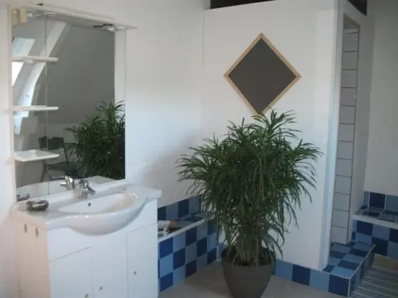 Le Clos du pavé - Banyo Tipleri