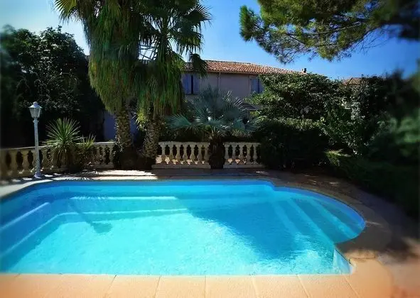 Le colibri bleu - 1