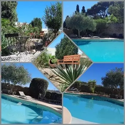 Le Coq du Nord - Mailhac