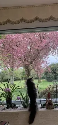 Le Domaine de la Clotière - Dış Mekan