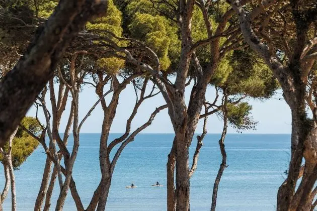 Le Domaine de la Mer - Dış Mekan