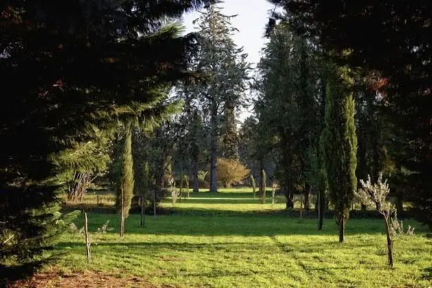 Le Domaine de Saint Véran - Dış Mekan