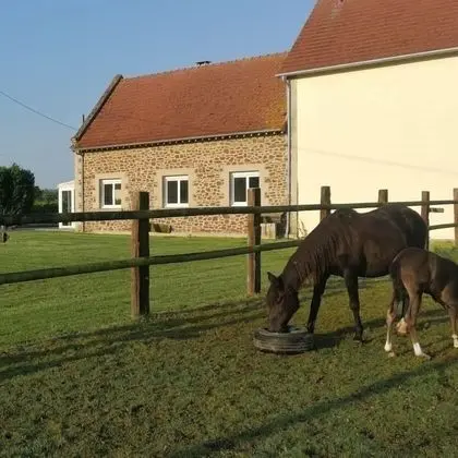 Le Gîte du Haras D'havetot