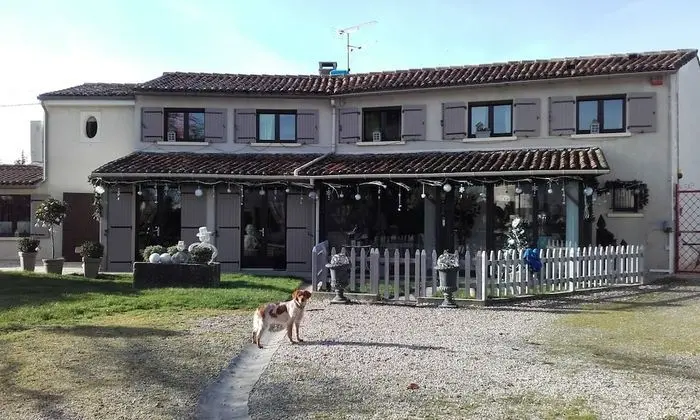 Le Grillage a Poules