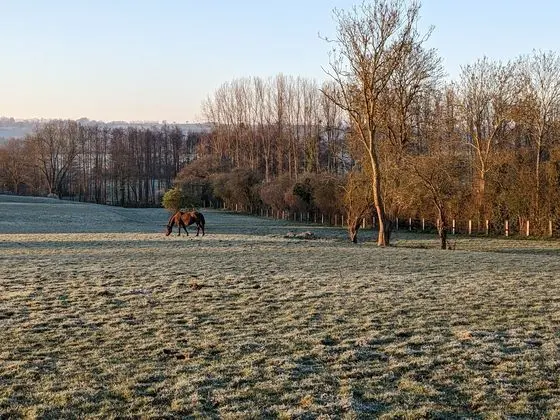 Le Haras D'havetot - Genel