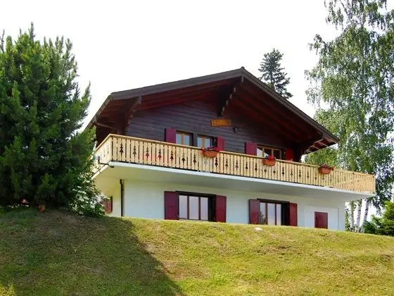 Le Hibou Haute-nendaz