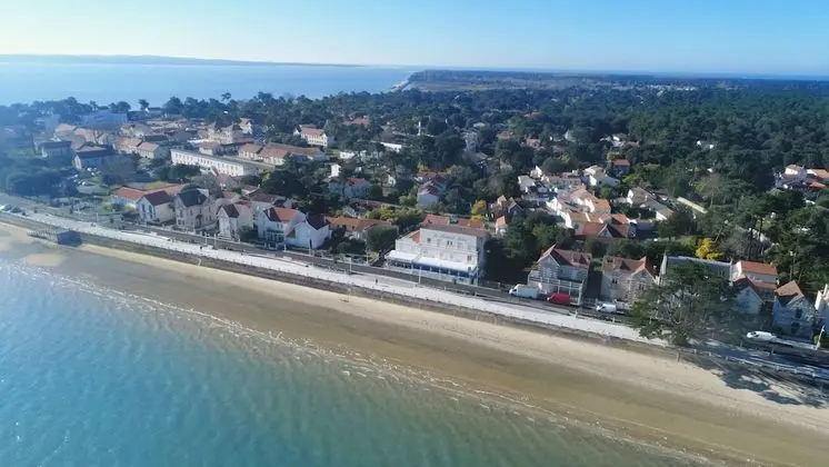 Le homard bleu