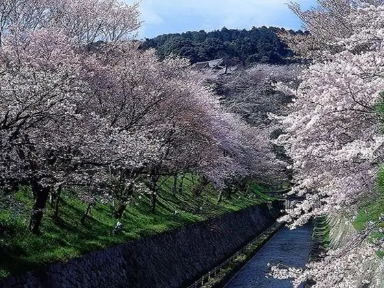 le Lac HOTEL KUSATSU - Dış Mekan