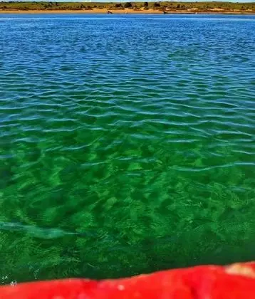 Le Lagon Bleu Oualidia - Havuz