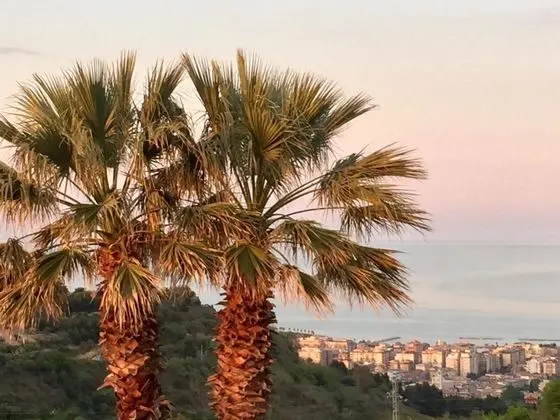 Le Limonaie a Mare - Genel