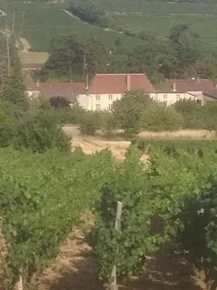 Le Logis d'Azé - Dış Mekan