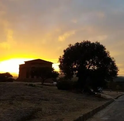 Le Maioliche