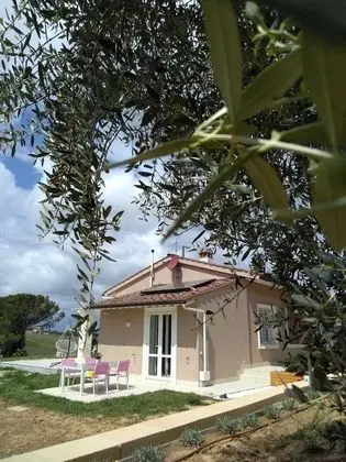 Le Mammole - 1