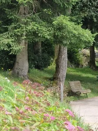 Le Manoir au Lac - Dış Mekan