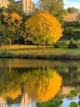 HOTEL LE MANOIR DE LA BARBACANE - Dış Mekan