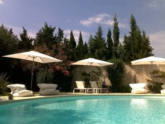 Le Mas de la Treille Bed & Breakfast - Havuz