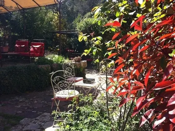 Le Mas de Peycavier - Dış Mekan